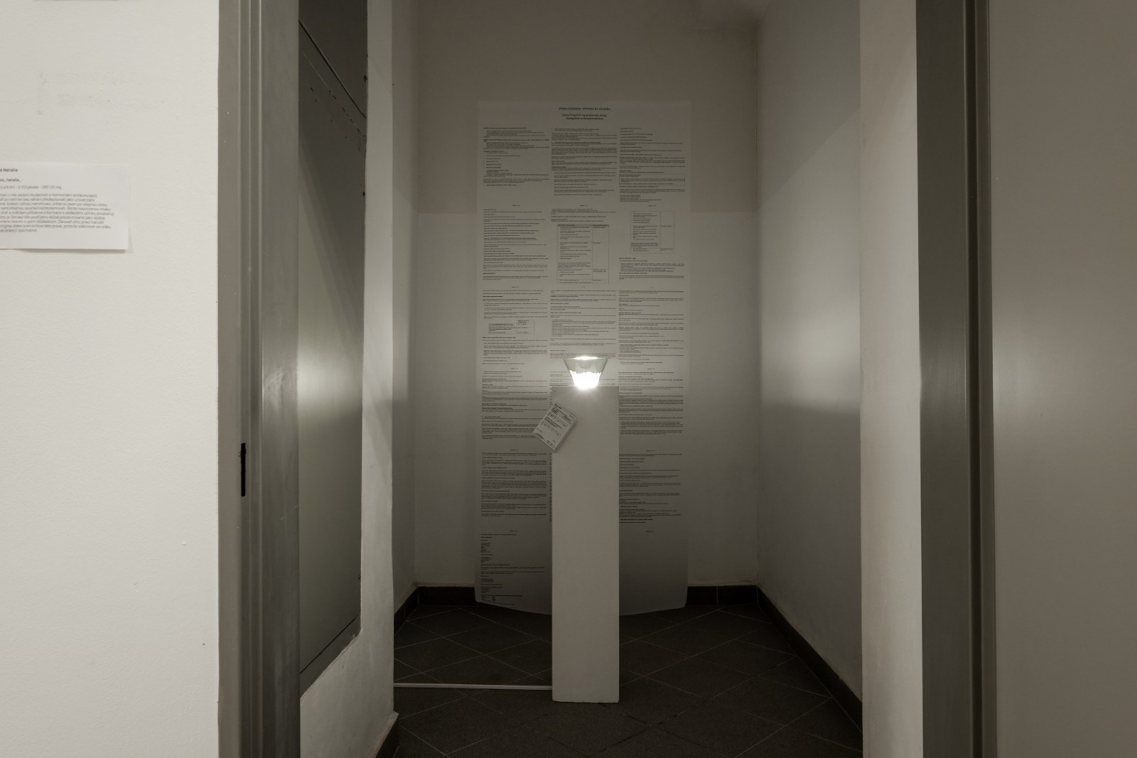 The installation in a narrow gallery room: a lit bowl on a white plinth in front of an enlarged package insert